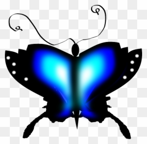 Black Butterfly, Insect, Blue, Black - Large Blue And Black Insect I Have Seen