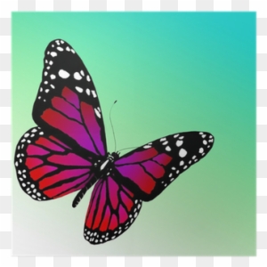Butterfly Pictures To Color