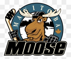 Manitoba Moose Logo Png Transparent - Manitoba Moose