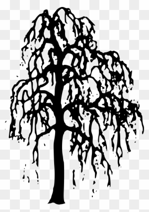 Nature Clipart Willow Tree Clipart Gallery Free Clipart - Black And White Outline Willow Tree
