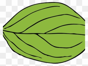 Leaf Clipart Apple Tree - Oval Leaf