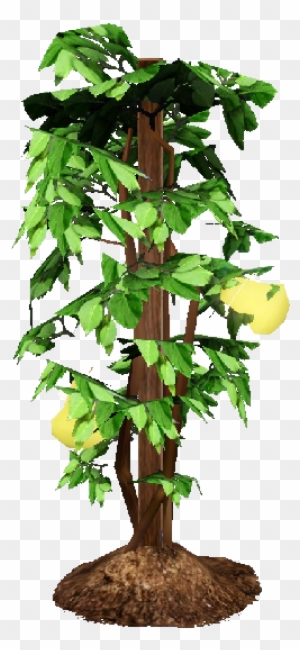 Money Tree, Omni Plant - Sims 3 Life Plant - Free Transparent PNG Clipart  Images Download