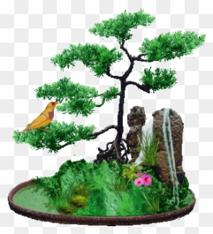 Photo Bonsai 1 -   Gif - Free Transparent PNG Clipart Images Download