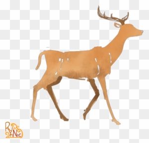 2d Animation Walk Cycle Gif - Deer Walking Animation Gif