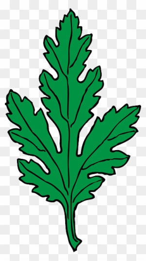 Chrysanthemum Green, Leaf, Cartoon, Plant, Leaves, - Green Leaf Clip Art