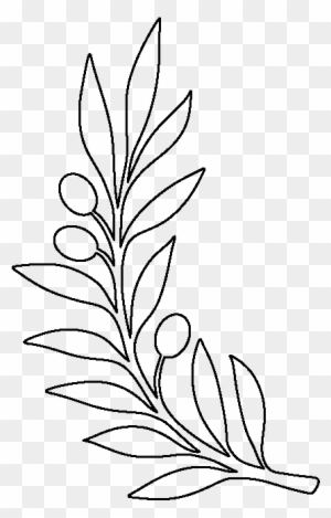 Olive Clipart Outline - Olive Branch Coloring Page - Free Transparent
