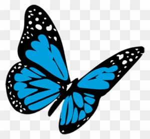 Butterfly Blue - 3d Butterfly Tattoo Drawing - Free Transparent PNG Clipart  Images Download