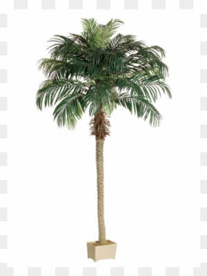 8' Phoenix Palm Tree In Rectangular Plastic Pot - Silk Plants Direct Phoenix Palm Tree - Green - Pack