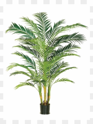7' Areca Palm Tree X4 In Pot Green - Silk Plants Direct Areca Palm Tree - Green - Pack Of