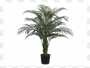 40" Palm Tree In Plastic Pot Green - Silk Plants Direct Tropical Palm Tree - Green - Pack