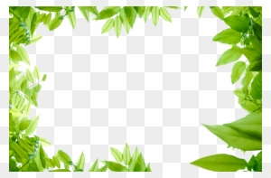 Leaves Png Images Transparent Free - Green Leaf Border Png