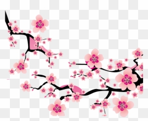 Sakura Blossom Clipart Plum Flower - Cherry Blossom Vector Png