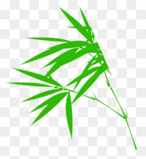 Bamboo Cartoon Illustration - 竹子 卡通 - Free Transparent PNG Clipart ...