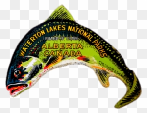 Waterton Lakes National Park Fish Sticker Png - Waterton Lakes National Park