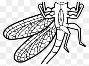 Dragonfly Clipart, Transparent PNG Clipart Images Free Download , Page ...