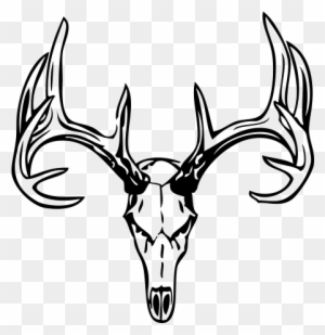 Free Black And White Deer Skull Download Free Black And White Deer Skull  png images Free ClipArts on Clipart Library