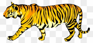 Vector Illustration Of Royal Bengal Tiger From From - Animated Walking Tiger Cliparts