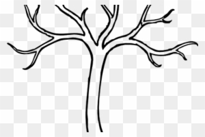 Clipart Library Asymmetrical Drawing Tree - Bare Tree Clipart Outline