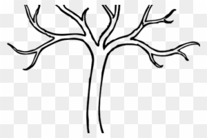 Tree Clipart Black And White Black And White Bare Tree - Tree Clipart Png  Outline - Free Transparent PNG Clipart Images Download