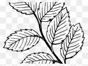 Drawn Mint Clipart - Leaves Clip Art