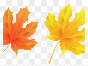 Yellow Flower Clipart Leave Clipart - Fall Leaf Clipart No Background