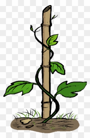 Featured image of post Cartoon Climber Plant Drawing Vector of a monkey sitting on a tree trunk