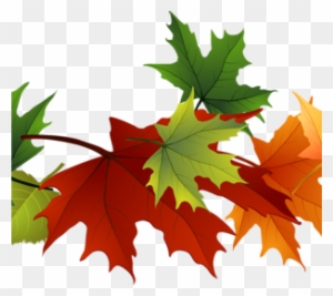 Fall Foliage Clipart Fall Foliage Clipart Fall Transparent - Fall Color Leaves Clipart