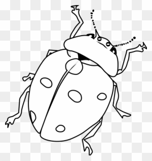 Graphic Freeuse Bugs Drawing Line - Ladybug Crossing Embroidery Design