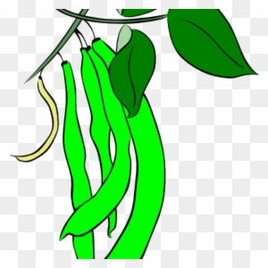 String Beans Clip Art Green French Bean Clip Art At - Green Beans Leaf Clipart