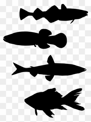 Fish Silhouette Shoaling And Schooling Computer Icons - School Of Fish Silhouette Png