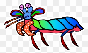 Picture Free Mantis Cartoon Desktop Backgrounds - Mantis Shrimp Transparent Background