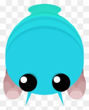 Artisticimproved Peacock Mantis Shrimp - Mope Io Mantis Shrimp