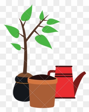 Plant With Pot And Water Can - Can Stock Photo