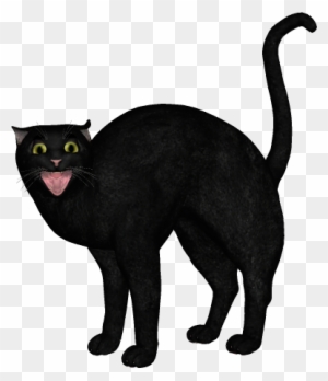 Halloween Scary Cat - Black Cat Silhouette