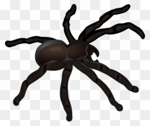 Arachnid Clipart Friendly Spider - Clip Art Spider