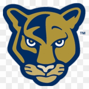 The Florida International University Landing Page From - Fiu Golden