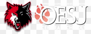 Oesj Central School District - Minnesota Timberwolves Team Logo Sports Photo (8 X