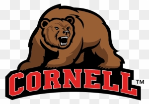 C - Descript - Cornell Big Red Bear Mascot Cornell University Mascot - Free  Transparent PNG Clipart Images Download