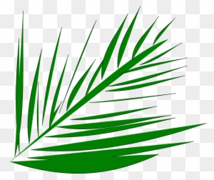 All Photo Png Clipart - Palm Trees Lent Transparent Background