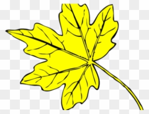 Yellow Flower Clipart Leave Clipart - Line Drawing Maple Leaf