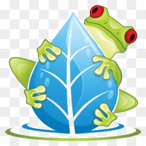 Frog Falling Down Png