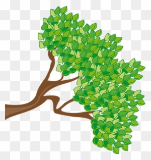 We Strongly Recommend That You Take Out Insurance To - Cartoon Tree With Green Leaves 1 25 Magnet
