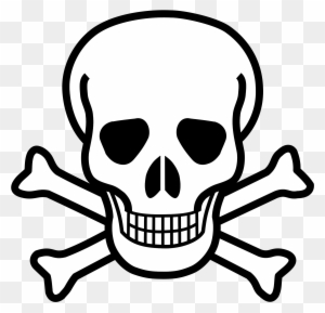 Chemicals And Toxins What Is Safe Beautiful Entropy - Pirate Skull And Crossbones