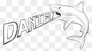Great White Shark Drawing - Great White Shark Drawings