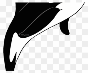 Mammal Clipart Killer Whale - Clip Art Black And White Killer Whale