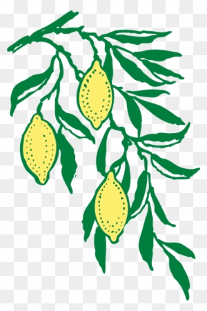 Lemon Tree Branch Clip Art