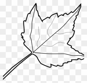 Leaf Outline Images Maple Leaf Outline Clip Art At - Clipart Autumn Leaf Black And White