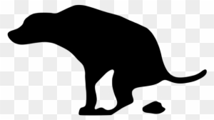 Petlicous & More Dog Poop Bags, 5 Roll in 1 Packet Dog Waste Pick Up  Biodegradable Garbage Bags, (Size - Medium, Total - 75 Bags) : Amazon.in:  Pet Supplies