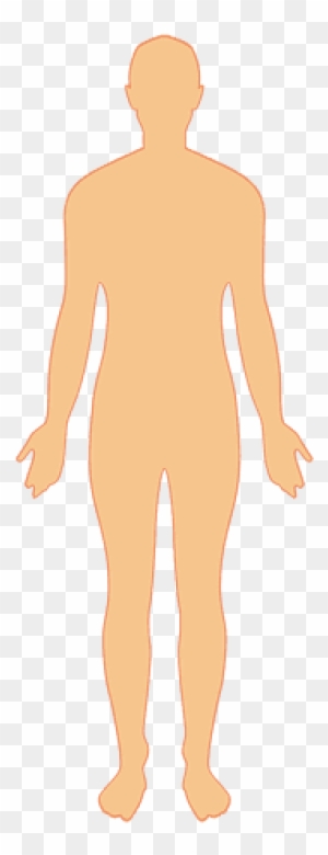 Human Body Clipart, Transparent PNG Clipart Images Free Download