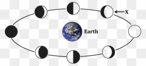 Nso Olympiad Sof Class Earth And Questions - Phases Of The Moon Question